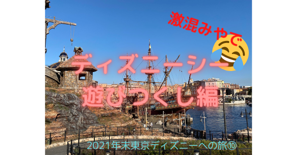 激混み 東京ディズニーシー フィンの記憶に残る家族旅行
