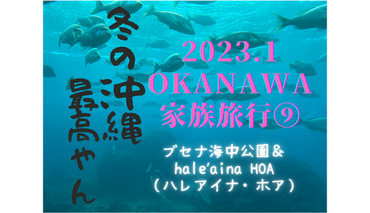 冬の沖縄家族旅行⑨ブセナ海中公園＆haleʼaina HOA（ハレアイナ・ホア）