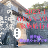 冬の沖縄家族旅行⑫最終回～首里城観光＆ウミカジテラス
